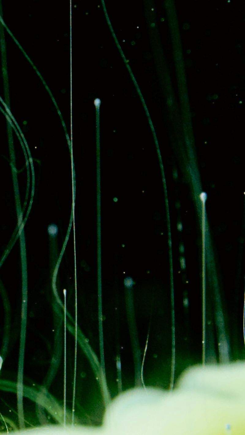 Buchbinderei Meisterwerk - Image 15