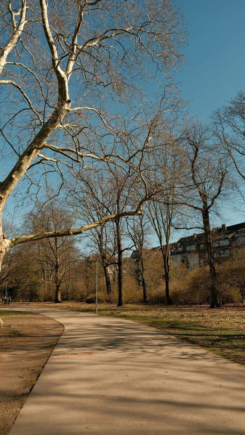 Buchbinderei Meisterwerk - Image 8